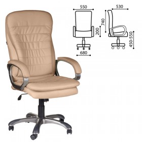 Кресло офисное BRABIX Omega EX-589 в Полтавке - poltavka.katalogmebeli.com | фото 1