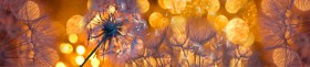 Кухонный фартук Мерцание Одуванчики золотистые 3 серебро в Полтавке - poltavka.katalogmebeli.com | фото 1
